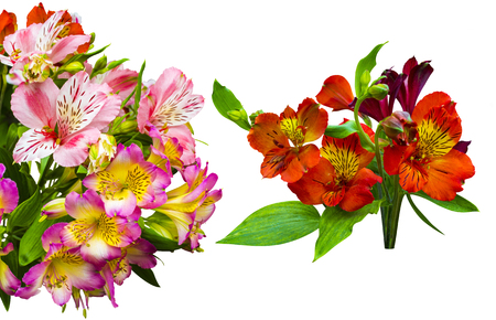 bouquet of flowers. Bouquet of flowers Alstroemeria. Flowers Alstroemeriaの写真素材