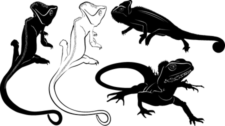 set of silhouettes of reptiles lizard, chameleonのイラスト素材