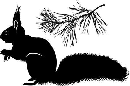 animal squirrel vector silhouette isolated on white backgroundのイラスト素材