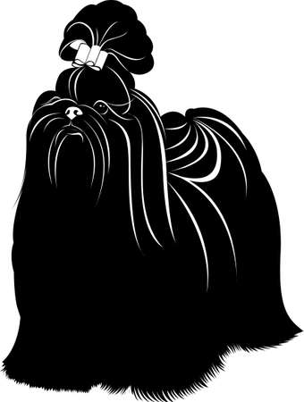 vector silhouette dog shih tzu isolated on white backgroundのイラスト素材