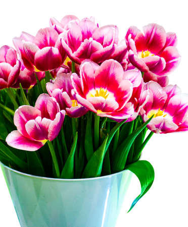 bouquet festive flowers tulips isolated on white backgroundの写真素材