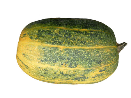 pumpkin isolated on white backgroundの写真素材