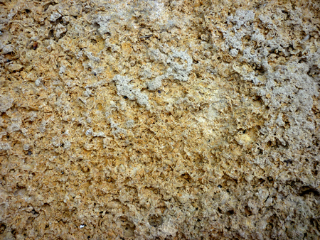 Sandstone Texture. Naturally shaped sandstone creates a unique texture and background.の写真素材