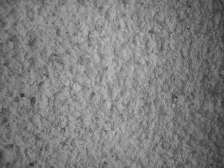 lightgray gray concrete cement texture background wallpaper