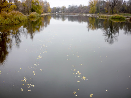 landscape of a river with shores in autumn with yellow leavesの写真素材