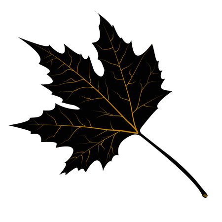 Maple leaves black silhouette vector illustration on white backgroundのイラスト素材