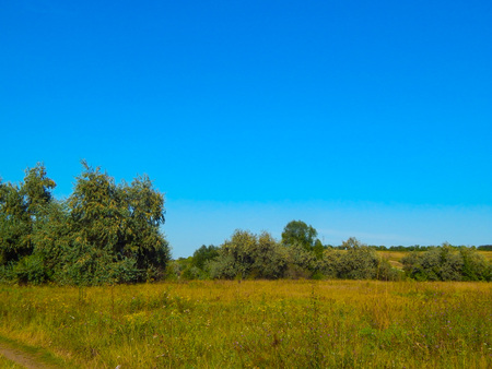 Beautiful summer landscape at sunset. Countryside meadowの写真素材