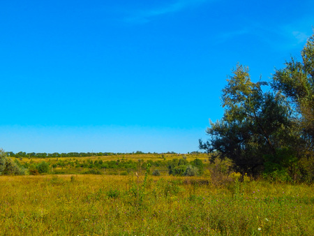 Beautiful summer landscape at sunset. Countryside meadowの写真素材