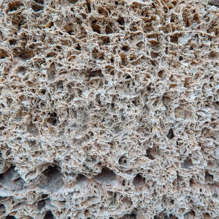 Sandstone Texture. Naturally shaped sandstone creates a unique texture and background.の写真素材