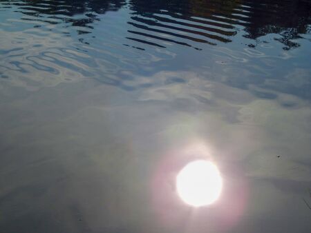 sunbathing in the water on a summer day on the river.の写真素材