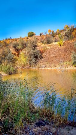 landscape river bank with yellow green trees on a summer day reflected in waterの写真素材