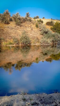 landscape river bank with yellow green trees on a summer day reflected in waterの写真素材