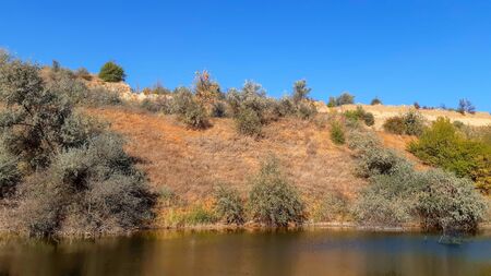 landscape river bank with yellow green trees on a summer day reflected in waterの写真素材