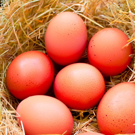 Chicken brown eggs in a wicker wooden basket Generative AIの素材