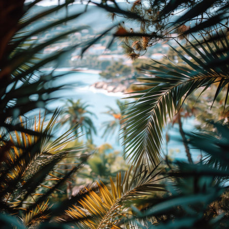 A vibrant collection of palm leaves offers a glimpse of a serene coastal landscape bathed in morning light.の素材