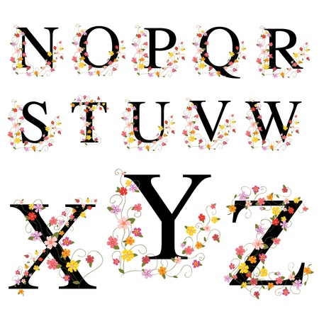 Decorative alphabet N-Zのイラスト素材