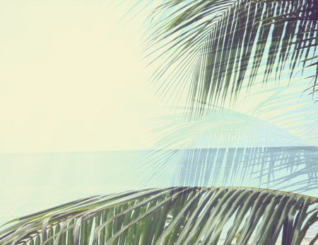 palm leaf summer background endless ocean photo 3d illustrationの写真素材
