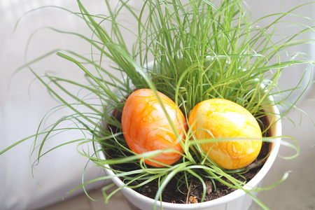 easter eggs hidden in the grass in the flower pot at indoor roomの写真素材