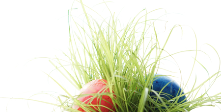 Easter eggs hidden in tall green leaves of grassの写真素材