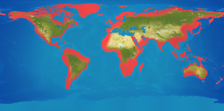 red zones coasts of the world due to rising sea levels, external borders evenly reduced. elements of...