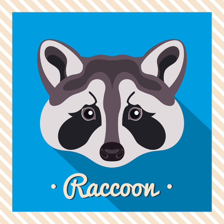 Vector portrait of a grey raccoon. Symmetrical portraits of animals. Vector Illustration, greeting card, poster. Icon. Animal face. Font inscription. Image of a raccoon's face.のイラスト素材