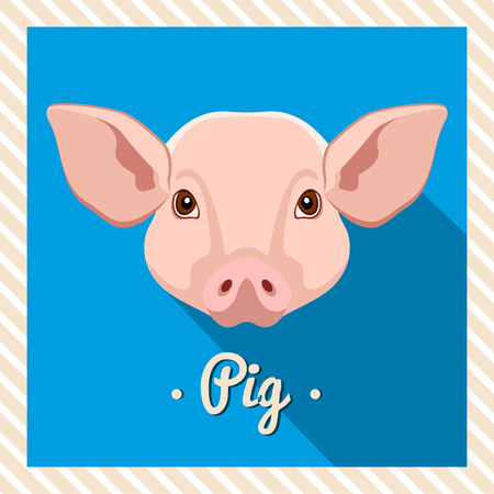 Vector portrait of a pink pig. Symmetrical portraits of animals. Vector Illustration, greeting card, poster. Icon. Animal face. Font inscription. Image of a pig's face.のイラスト素材