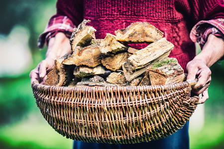 Pensioner farmer holding basket full of firewood. Man senior  holding wood out of a basket to ignite the fireplace.の写真素材