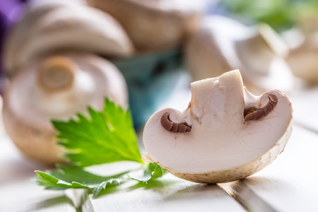 Mushroom. Champions  mushrooms in different positions with herb decoration.の写真素材