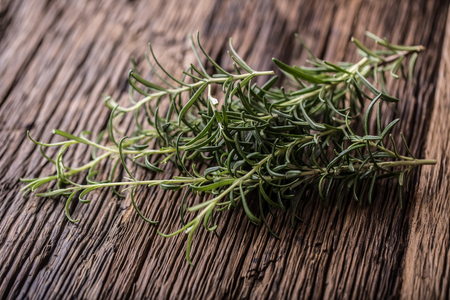 Rosemary. Fresh rosemary herbs. Organic aromatic herbs on wooden table.の写真素材