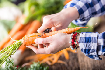 Hand cutting vegetables.Women hands is slicing carrot on wooden board near vegetables.の写真素材