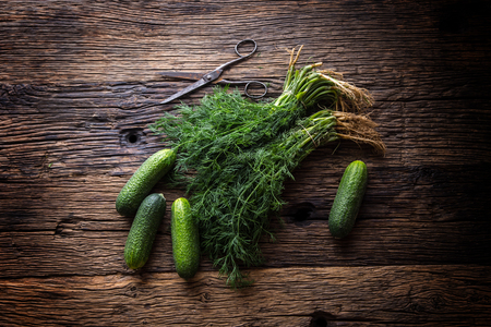 Cucumber and dill on very old rustic oak table.の写真素材