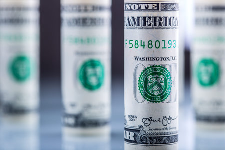 Dollar. American dollar banknotes rolled in different positions.