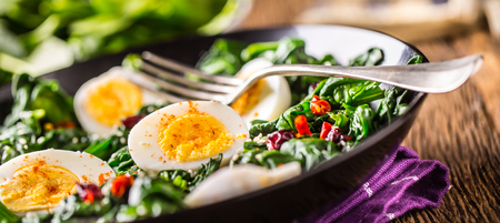 Spinach Salad. Fresh spinach salad with eggs chili pepper and sweet cranberries.の写真素材