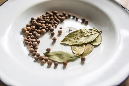 Bay leaf and new spice on plate.の写真素材
