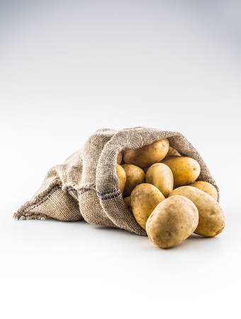 New potatoes in burlap sack isolated on white background.の写真素材