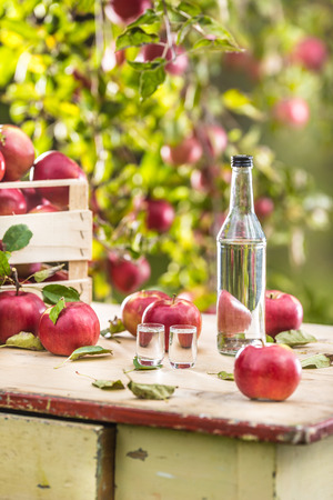 Two glasses and a bottle of apple brandy distillate with apples on garden table.の写真素材