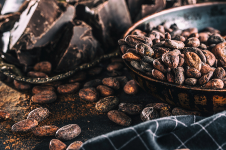 Dark chokolate cocoa beans and powder on concrete table.の写真素材