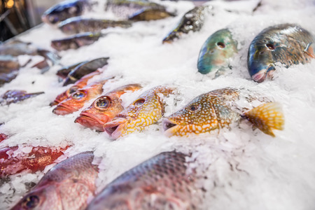 Sea fish on ice in seafood market.の写真素材