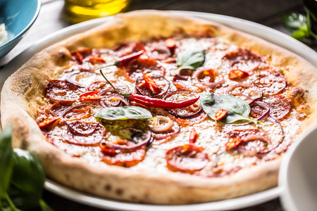 Pizza salami diavola with red onion basil and chili pepper.の写真素材