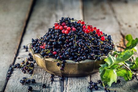 Black and red currant in bronze bowl on garden table.の写真素材