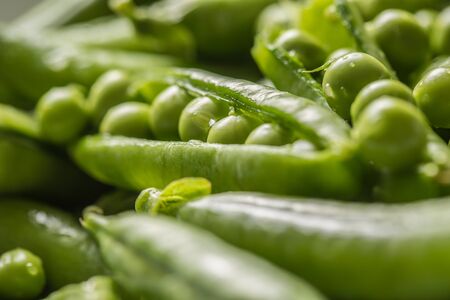 Fresh green pea seeds and pods - Close up.