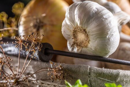 Garlic and onions in basket with parsley herbs and dried dill on wooden table.の写真素材