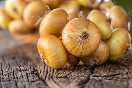 bundle of freely lying dried onion on a wooden table.の写真素材