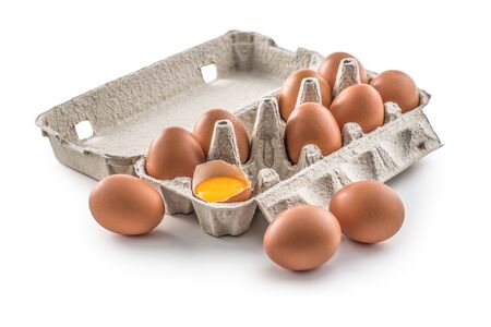 Fresh chicken eggs in pater tray with broken egg isolated on white.