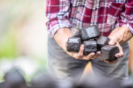 Man in a checkered shirt holding cubes of charcoal briquettes.