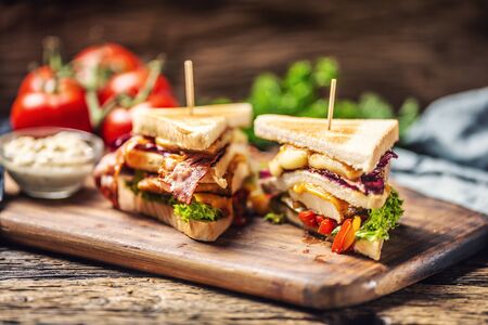 Chicken and cheese sandwich with red cabbage, peppers and salad in rustic wooden environment.の写真素材