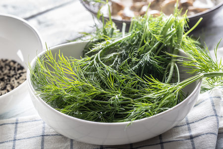 White bowl full of freshly picked dill.の写真素材