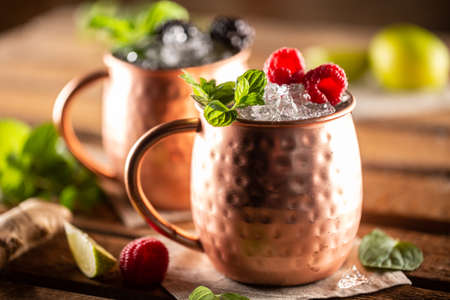 Moscow Berry Mule highball vodka cocktail is a long drink with fresh lime juice, ginger beer and berries.の写真素材