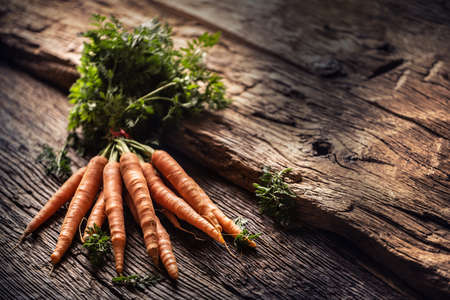 Sliced pieces of carrot in a bowl and a fresh bunch of carrots in the background.の写真素材