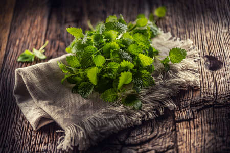 Naturally green melissa herbs on rustic jute or flax napkin folded on dark wood.の写真素材
